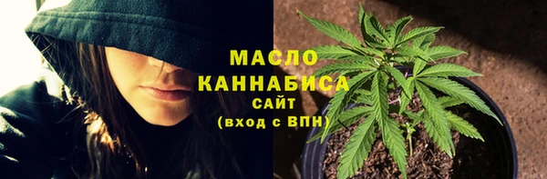 дживик Арсеньев