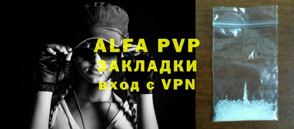 дживик Арсеньев