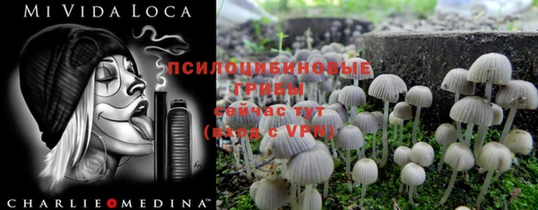 дживик Арсеньев